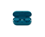 BOSE SPORT EARBUDS
