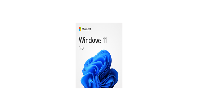 MICROSOFT WINDOWS 11